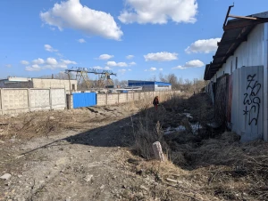 Фото с ТЮЗ