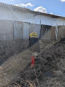 Фото с ТЮЗ
